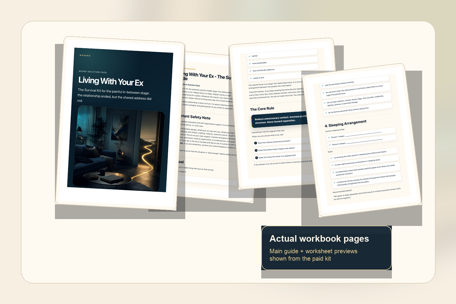 Living With Your Ex Survival Kit digital product preview